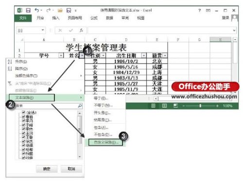 Excel表格中怎么使用通配符筛选文本