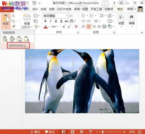 PowerPoint2013中设置文本背景填充效果