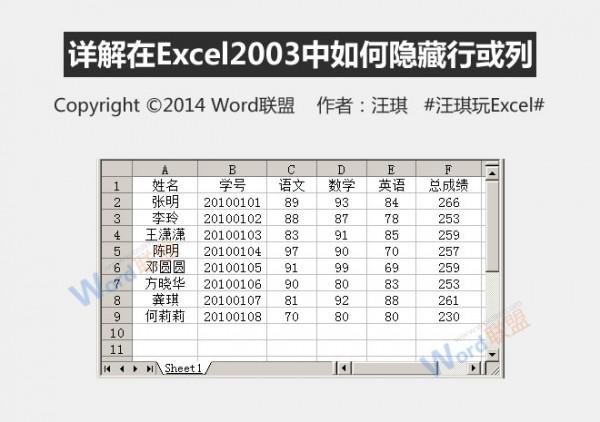 怎么在Excel2003中如何隐藏行或列