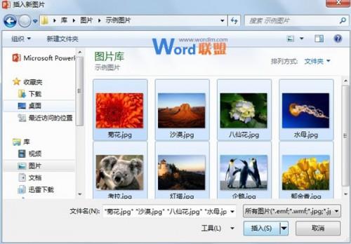 如何批量将图片快速导入到PowerPoint 2013中