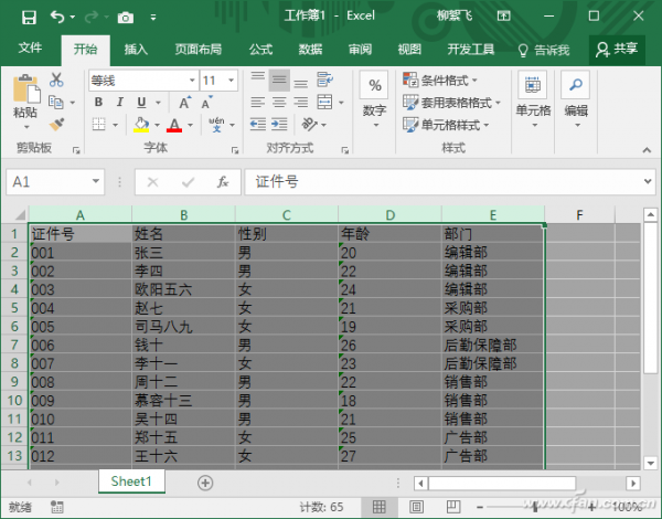 Excel列宽如何快速调整