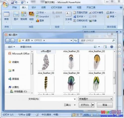 如何在powerpoint2007制作飞舞羽毛特效