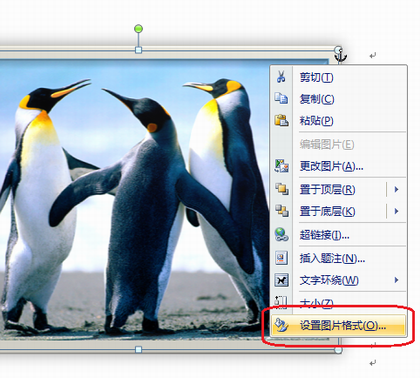 如何通过在 Word 2007 或 PowerPoint 2007 中添加边框或阴影来改进图像或形状的外观