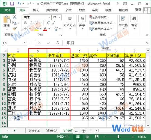 Excel2013 如何隐藏某行和列单元格