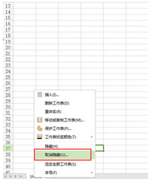 wps版excel中工作表标签不见了怎么调出来