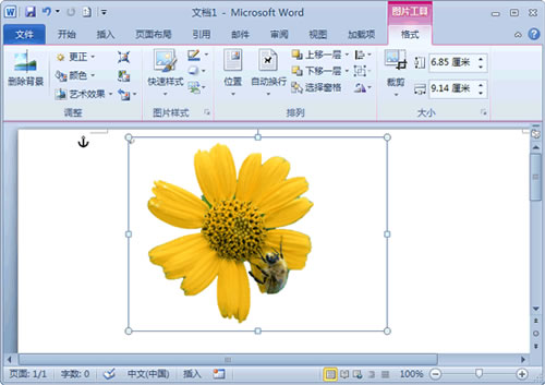 word2010怎么去除图片背景