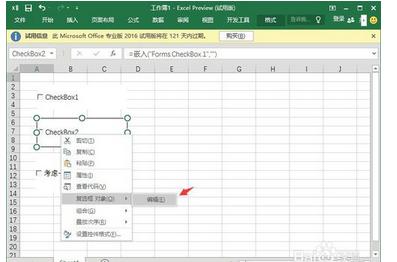 excel2007加入两对单选框怎么实现