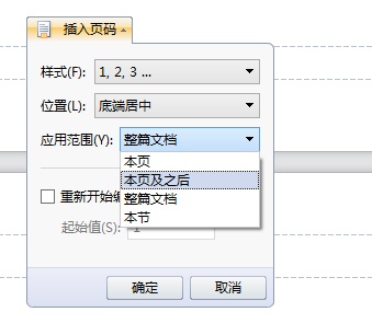 WORD文档怎么从第二节页脚开始插入页码