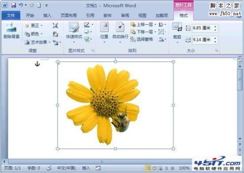 Word2010如何删除图片背景