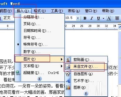 word文字环绕图片设置方法