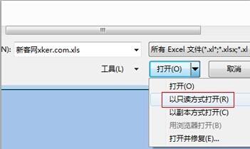 怎么以只读方式打开excel文档?