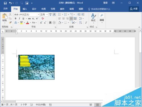 Word2016文档中图片怎么输入文字