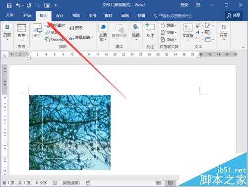 Word2016文档中图片怎么输入文字