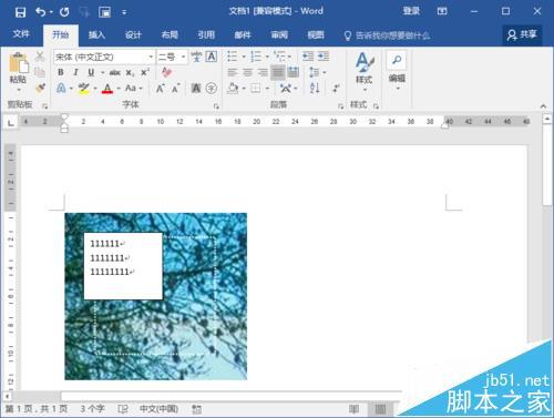 Word2016文档中图片怎么输入文字