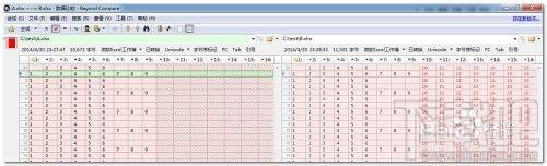 怎样用Beyond Compare比较两个excel表格文件差异