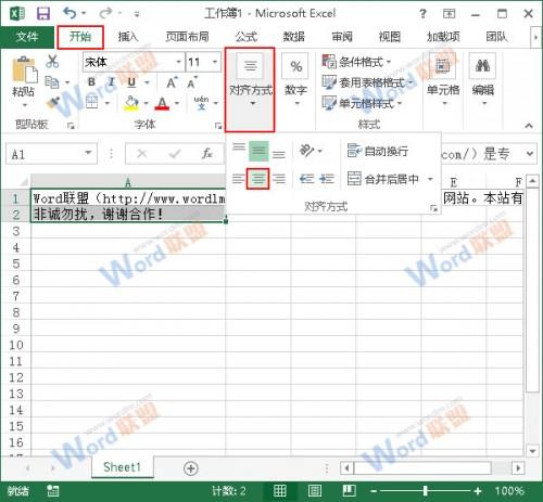 Excel2013如何进行排版?