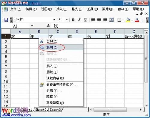 Excel2003中复制行数据到列中