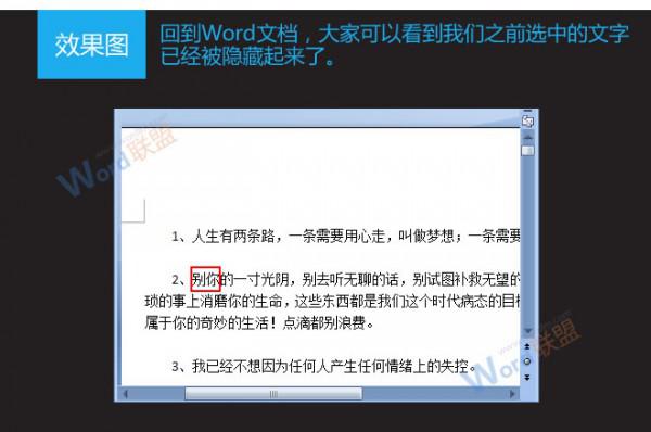 Word2007如何隐藏和显示文字