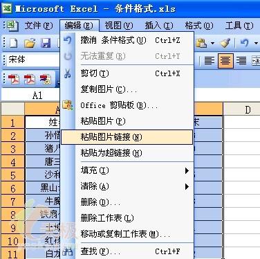 Excel技巧:为数据区域创建动态快照