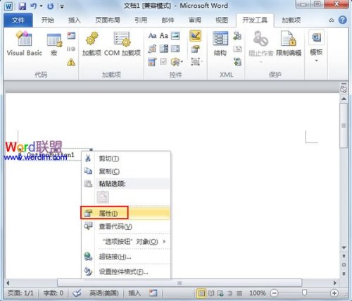 Word2010中单选框怎样制作