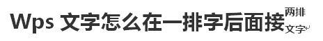 wps 在word中怎么在一排字后面接两排字?