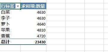 Excel2013数据透视表字段分组