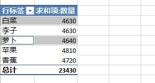 Excel2013数据透视表字段分组