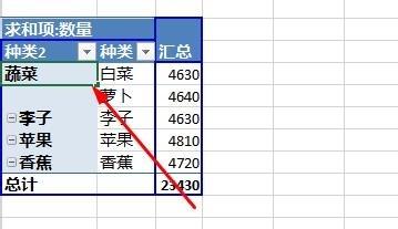 Excel2013数据透视表字段分组