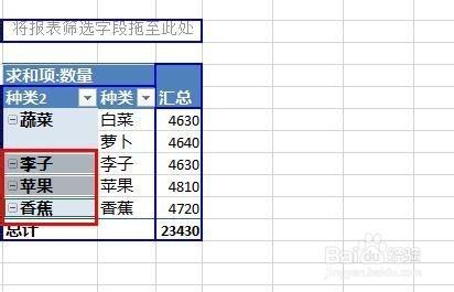 Excel2013数据透视表字段分组