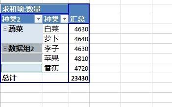 Excel2013数据透视表字段分组