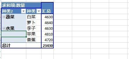 Excel2013数据透视表字段分组