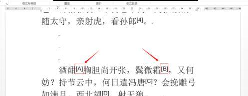 word2013怎样更改尾注数字编号格式