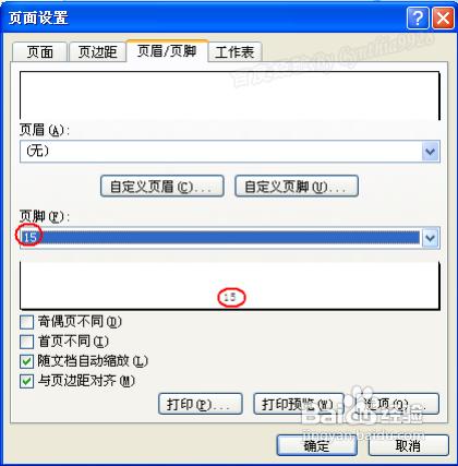 Excel2007怎么设置自定义页码