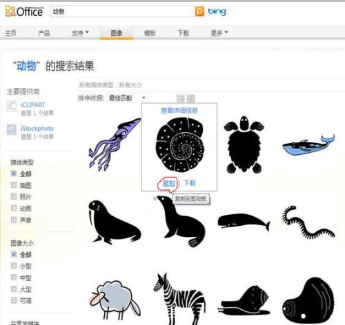 word2013如何获取漂亮剪贴画