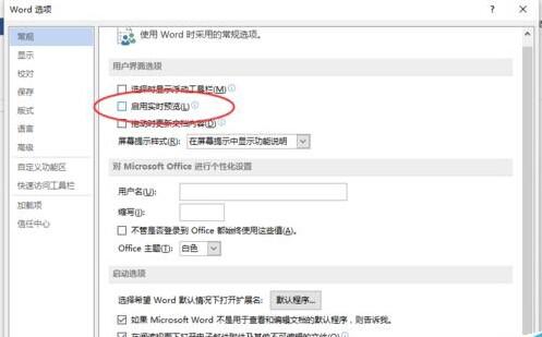 Word2013怎么取消启用实时预览的功能