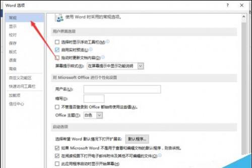 Word2013怎么取消启用实时预览的功能