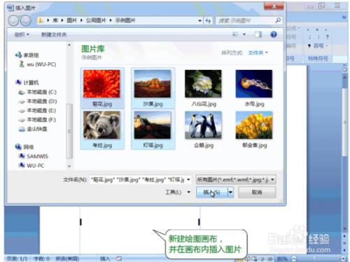 word2007如何同时复制多张图片