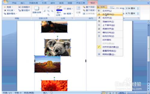 word2007如何同时复制多张图片