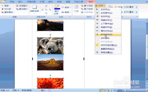 word2007如何同时复制多张图片