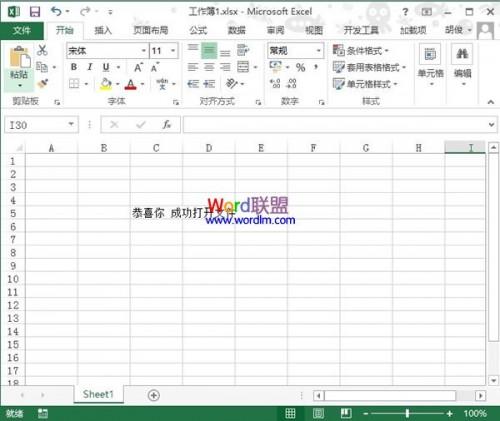 忘记了Excel2013工作表保护密码怎么办