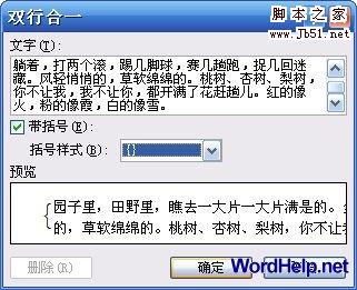 在Word文档中如何实现双行合一效果