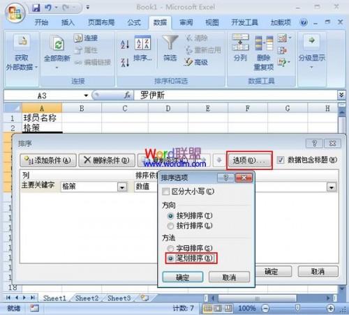 Excel2007表格中将排序设为笔画排序