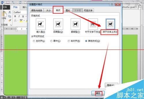 怎么精确的把CAD图形复制到WORD里?