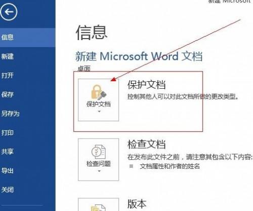 word2013文档加密的两种技巧