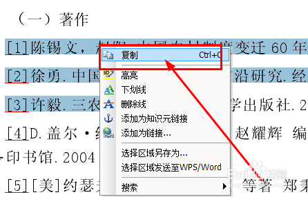 cajviewer怎么转换成word文档