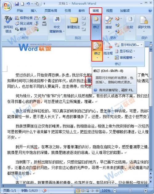 Word2007中怎样利用审阅功能纠正文档的错误