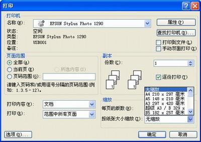 如何利用Excel电子表格缩放打印