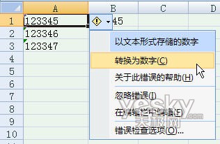 Excel2007中数字格式与文本格式互转