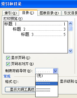 怎样修改Word自动生成目录的页码格式和点?