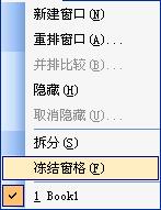 如何冻结excel表格行和列?